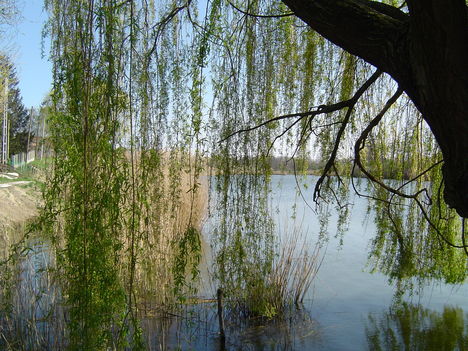 Békás tó