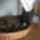 Brendzsos_221195_25573_t