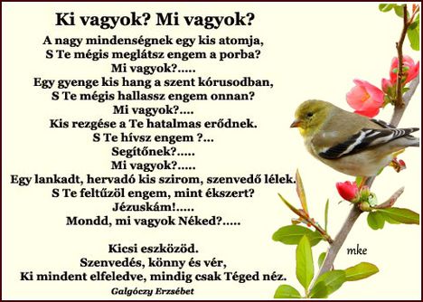Ki vagyok, Mi vagyok?
