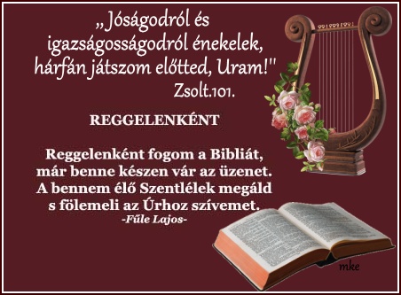 Krizs Vilmos: A KŐNYVEK KŐNYVE