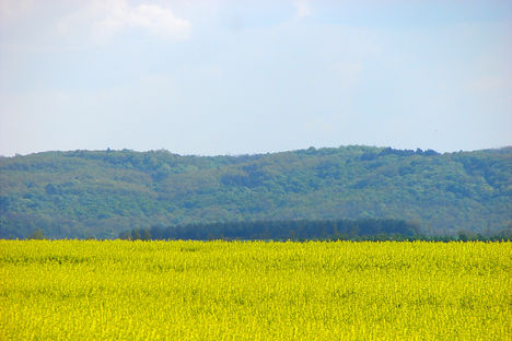 Mappa-Csodás természet 011