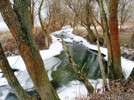 Téli, és kisvizes időszakban is jól működik a Denkpáli hallépcső, Dunasziget 2017. január 31.-én