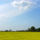 Termeszet_es_viragok_221571_57396_t