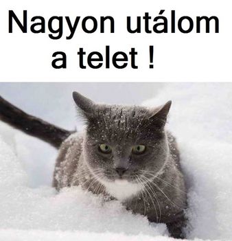 Utálom!