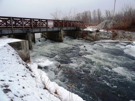 A Denkpáli megcsapoló műtárgyon kivezetett víz, Dunasziget 2017 január 31 (2)