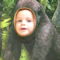 Dani a kis gorilla