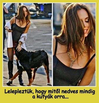 Mitől nedves!