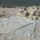 Partvedelem_222453_91254_t