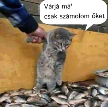 Várjál már!