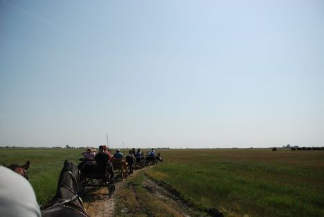 A puszta