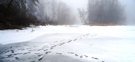 Befagyott a Felső-Kalapszigeti Duna-ág, Ásványráró 2017. február 03.-án 6