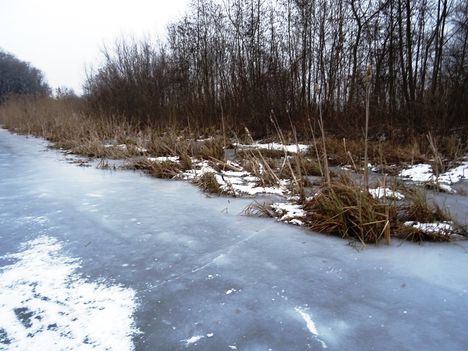 Befagyott a Nováki csatorna, ami a Halászi (Arak) és Darnózseli községek közigazgatási határán is végig húzódik, 2017. január 31.-én 2