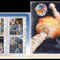 Challenger_urrepulogep_2203353_7014_s