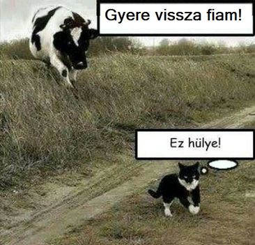 Fogalomzavar2!
