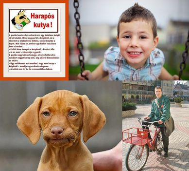Harapós!