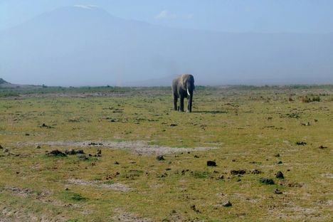 Kenya,2006
