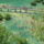 Krka-002_223649_58298_t