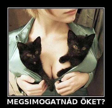 Megsimogatnád!