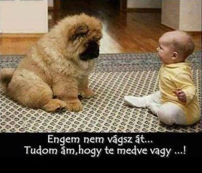 Nem vágsz át!
