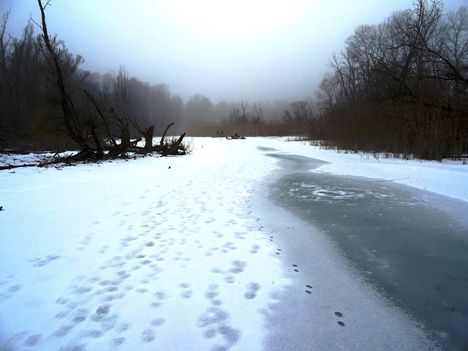 Túra a befagyott Öregszigeti belső tó jegén, Kisbodak 2017. február 03.-án 10