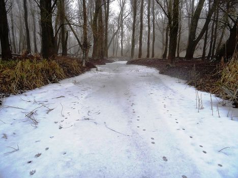 Túra a befagyott Öregszigeti belső tó jegén, Kisbodak 2017. február 03.-án 20