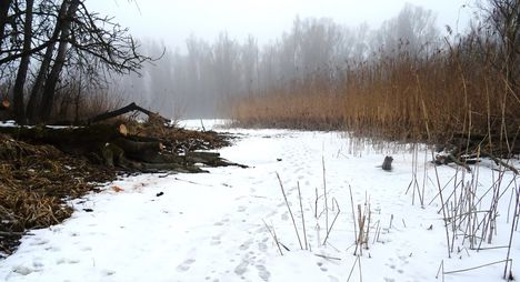 Túra a befagyott Öregszigeti belső tó jegén, Kisbodak 2017. február 03.-án 21