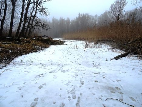 Túra a befagyott Öregszigeti belső tó jegén, Kisbodak 2017. február 03.-án 25