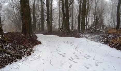 Túra a befagyott Öregszigeti belső tó jegén, Kisbodak 2017. február 03.-án 29