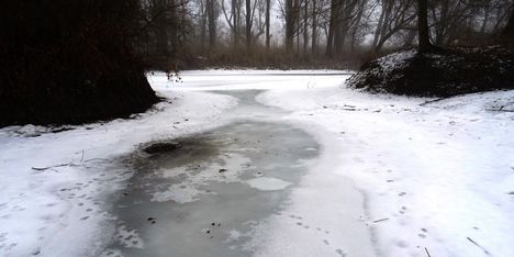 Túra a befagyott Öregszigeti belső tó jegén, Kisbodak 2017. február 03.-án 36