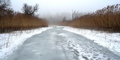 Túra a befagyott Öregszigeti belső tó jegén, Kisbodak 2017. február 03.-án 39