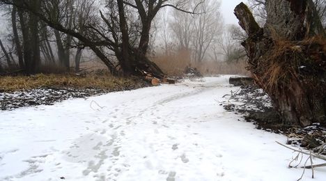 Túra a befagyott Öregszigeti belső tó jegén, Kisbodak 2017. február 03.-án 4