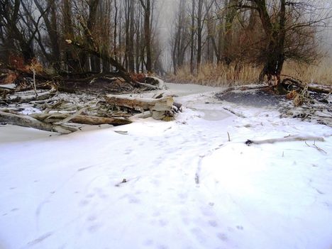Túra a befagyott Öregszigeti belső tó jegén, Kisbodak 2017. február 03.-án 5