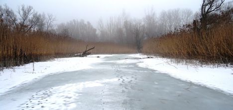 Túra a befagyott Öregszigeti belső tó jegén, Kisbodak 2017. február 03.-án 6