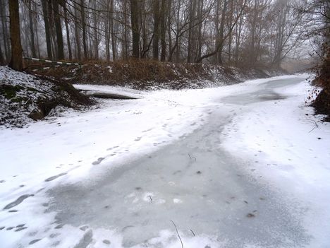 Túra a befagyott Öregszigeti belső tó jegén, Kisbodak 2017. február 03.-án 7
