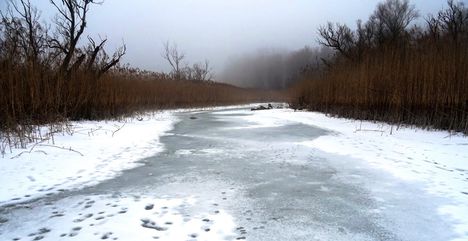Túra a befagyott Öregszigeti belső tó jegén, Kisbodak 2017. február 03.-án 9