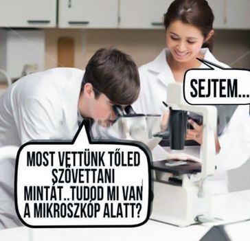 Van sejtésem!