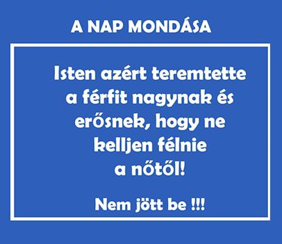 A nap mondása!