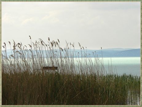 Balaton -Siófok 5