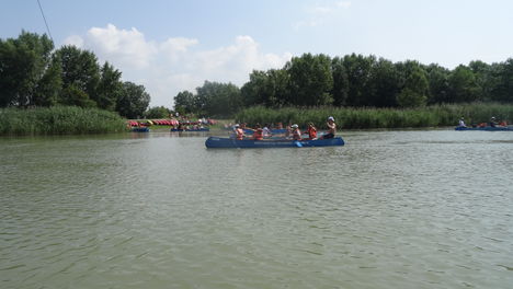 Dunakiliti, Vízpart Camping a Görgetei Duna-ág felől nézve, 2016. július 26.-án 1