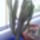 Euphorbia_224367_76623_t