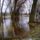 Fuzes_2024563_9235_t