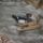 Kaliforniaikisasszonyszepe_tokes_recevel-001_2024559_4190_t
