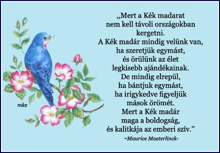 Kék madár