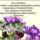 Kellemes_vasarnapot_mindenkinek-001_2024221_3176_t