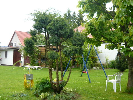 megmenkült!