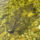 Na_mi_ez_224165_47523_t
