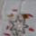 Nagy_medal_224302_43871_t