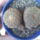 Sulcorebutia_224360_71208_t