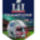 Super_bowl_banner_for_the_new_england_patriots_2024288_1431_t