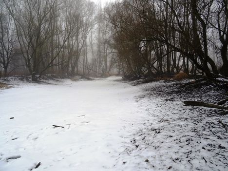 Téli kisvizes időszak az Erdei Duna-ágon, Lipót 2017. február 03.-án 12